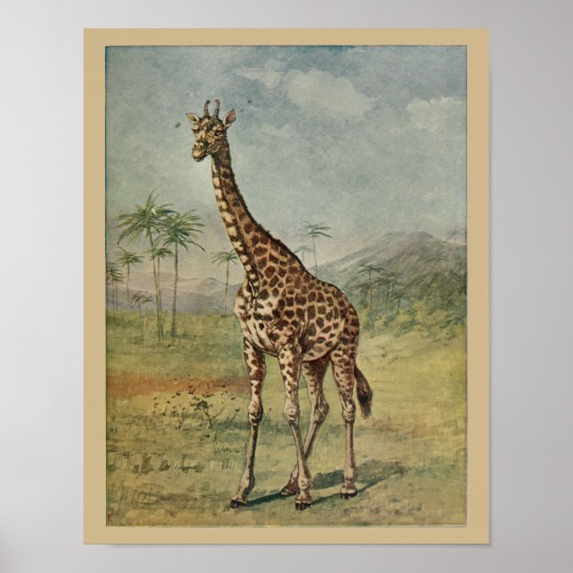 Vintage Giraffe Animal Art Impressão (Frente)