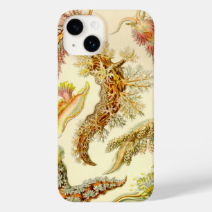 Vintage Haeckel