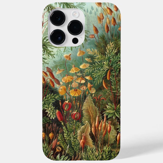 Vintage Haeckel (Verso)