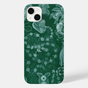 Vintage Haeckel