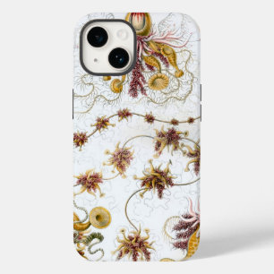 Vintage Haeckel