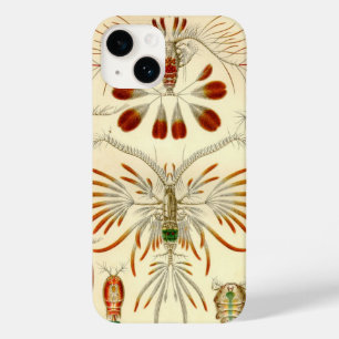 Vintage Haeckel