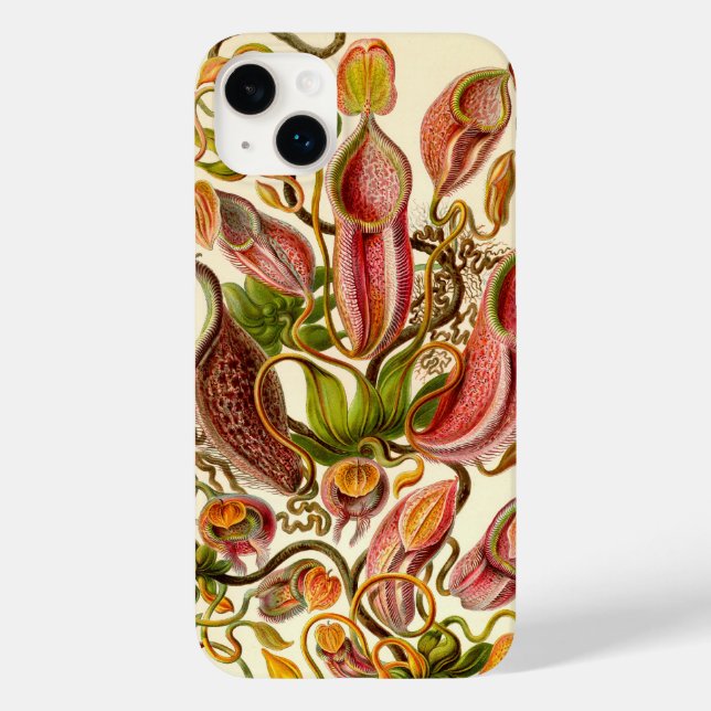 Vintage Haeckel (Verso)