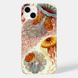 Vintage Haeckel Jellyfish