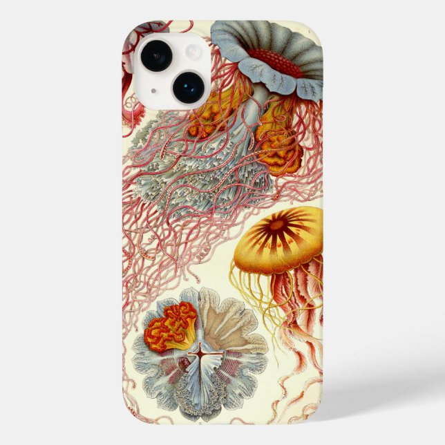 Vintage Haeckel Jellyfish (Verso)