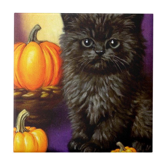 Vintage Halloween Kitten (Frente)