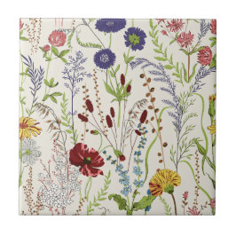 Vintage Hand-Drawn Meadow Wildflower