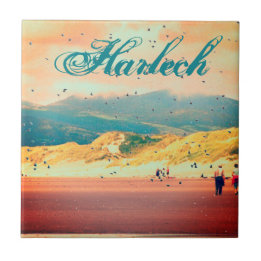 Vintage Harlech Beach com aves voadoras