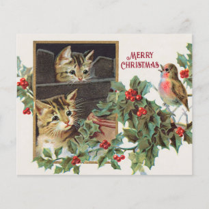 Vintage Holly cats e natal natal