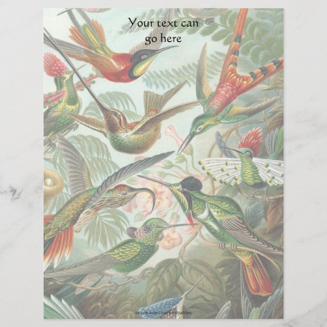 Vintage Hummingbird (Frente)