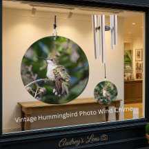 Vintage Hummingbird Photo Custom