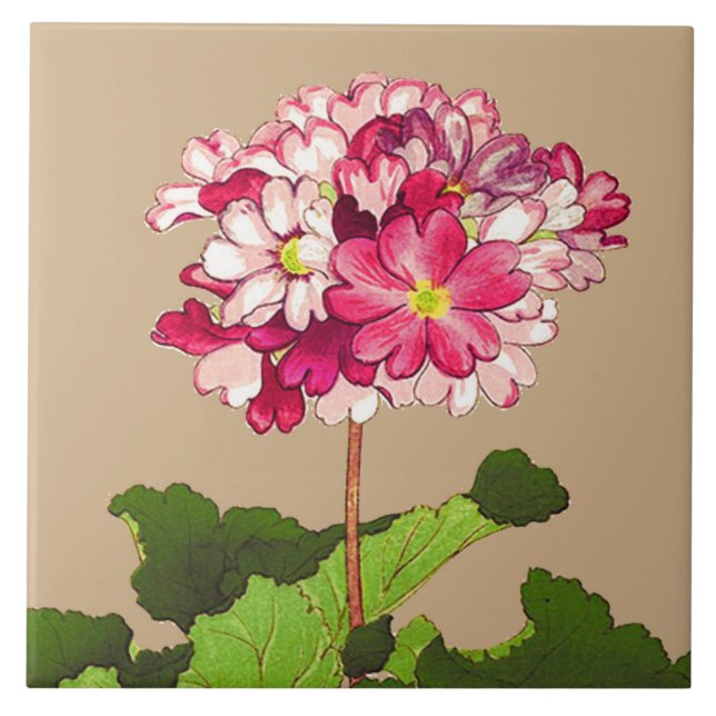 Vintage Hydrangea japonesa. Rosa e Verde (Frente)