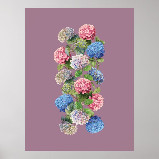 Vintage Hydrangea Poster (Frente)