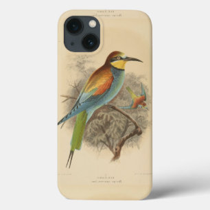 Vintage - Ilustração do Bee-Eater Europeu