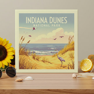 Vintage Indiana Dunes National Park
