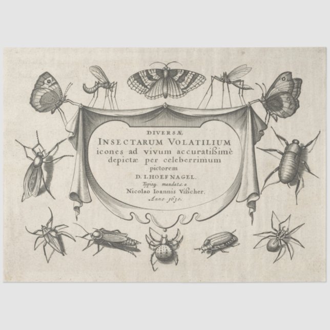 Vintage Insetar Papel de Tecido de Decoupage (Frente )