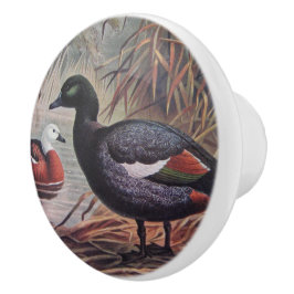 Vintage Keulemans John Gerrard Paradise Shelduck