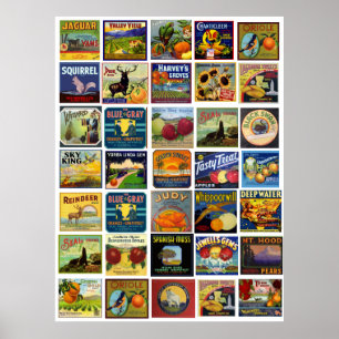 Vintage Label Patchwork Impressão