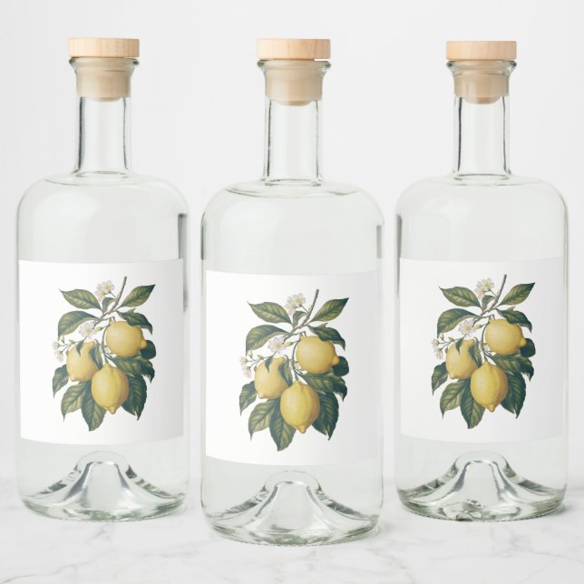 Vintage Lemon (Garrafas)