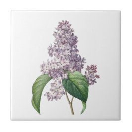 Vintage lilacs azulejo de cerâmica floral