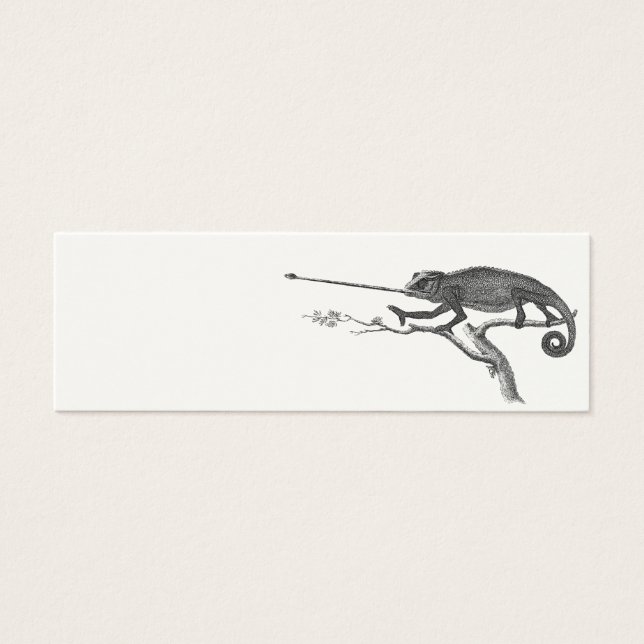 Vintage Lizard Chameleon - Modelo (Frente)