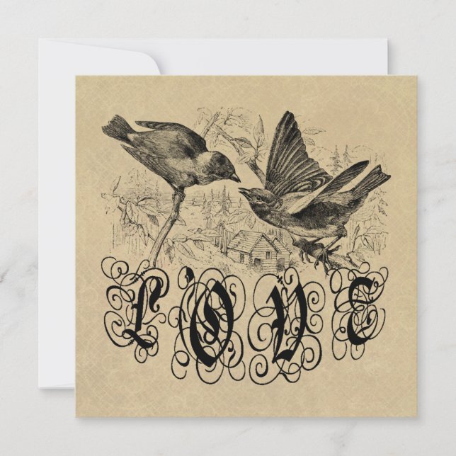 Vintage Love Birds Roupa e presentes (Frente)