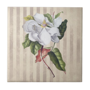Vintage Magnolia Flower on Strips