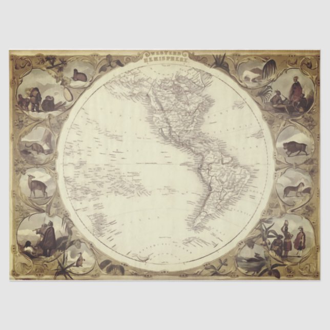 Vintage Map - Papel Tecidual (Frente )