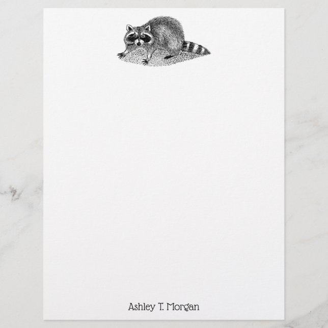Vintage Mask Raccoon (Frente)