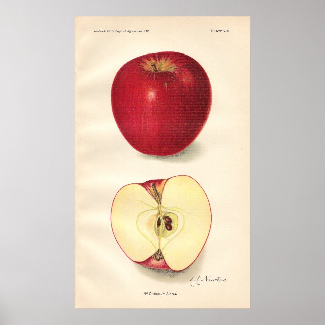 Vintage McCroskey Apple Poster (Frente)