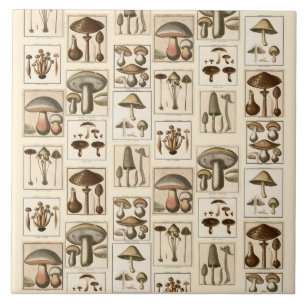 Vintage Mushroom Botanical Impressões Trivet
