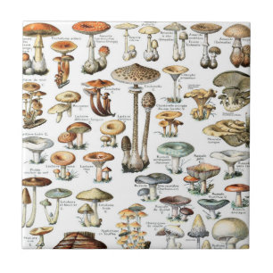 Vintage Mushroom Pattern