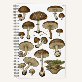 Vintage Mushrooms Notebook