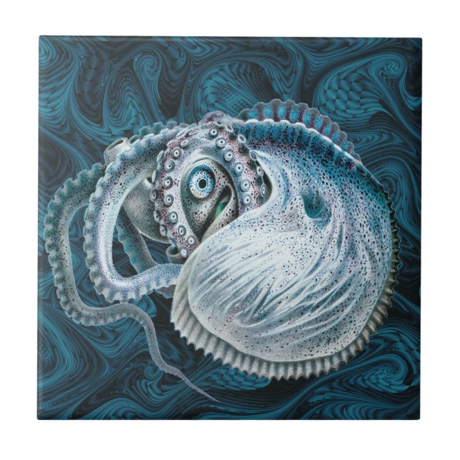 Vintage Octopus Squid Nautilus Argonaut (Frente)
