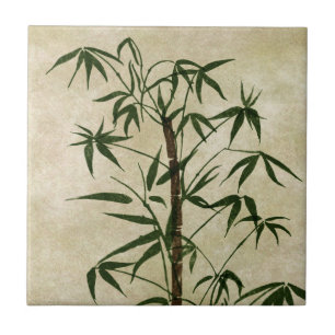 Vintage Oriental Bamboo 1