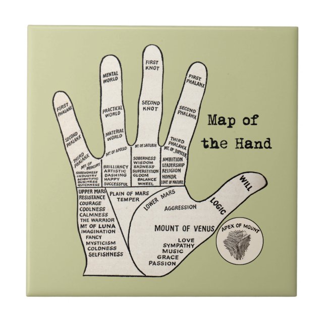 Vintage palm lendo fortuna palmística (Frente)