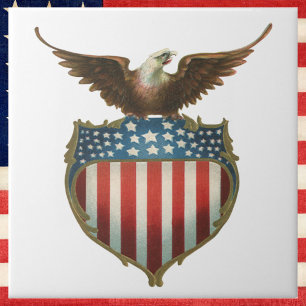 Vintage patriótico, águia americana com bandeira