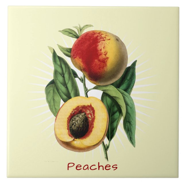 Vintage Peaches Fruta Azulejo de Arte Botânica (Frente)