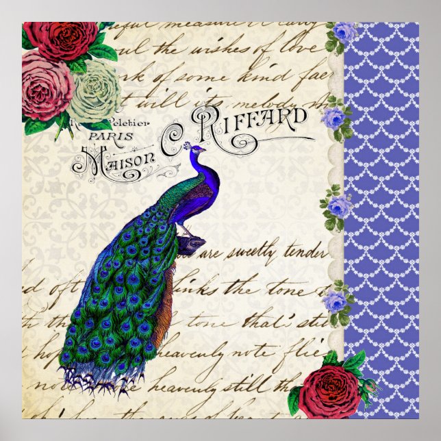 Vintage Peacock Collage art poster (Frente)