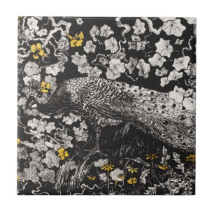 Vintage Peacock Illustration de Theo van Hoytema