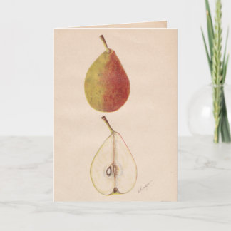 Vintage Pears - Cartão de Saudação