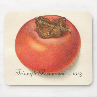 Vintage Persimmon Mousepad