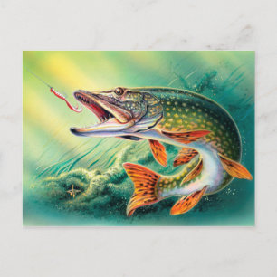 Vintage Pesca de peixe bonito cartão postal