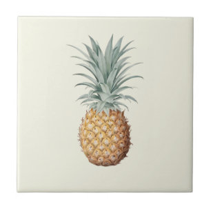 Vintage Pineapple Cream