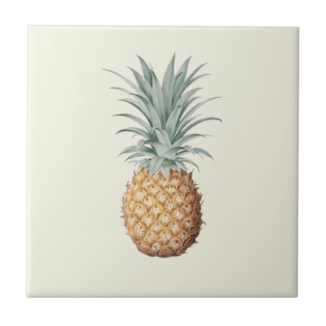 Vintage Pineapple Cream (Frente)