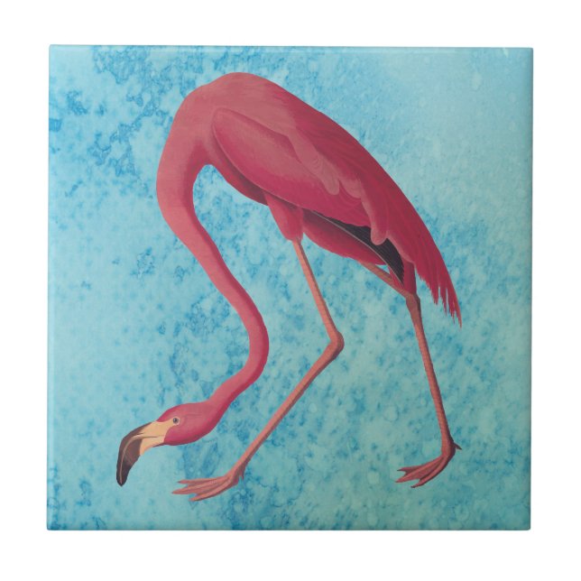 Vintage Pink Flamingo (Frente)