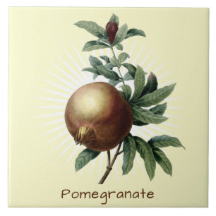 Vintage Pomegranate Fruta Arte Botânica