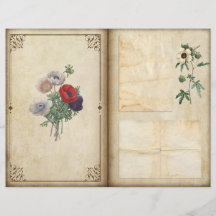 Vintage Poppies Vitoriana Página de Diário Botânic