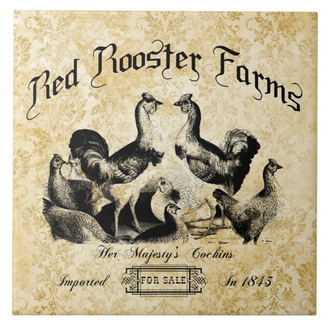 Vintage Poultry Fazenda Advertisement (Frente)