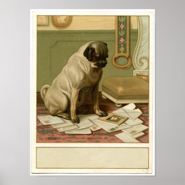 Vintage Pug Poster (Frente)